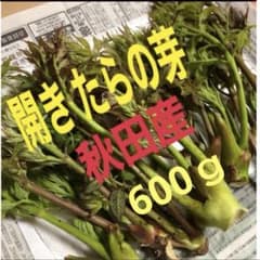 6160 天然 たらの芽 【特大 】開き タラの芽のサムネイル