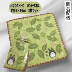 My Neighbor Totoro Hand Towel/Wash Towel, Approx. 36 x 36 cm, Set of 2, Item B