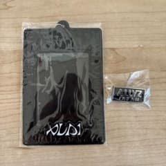 ALD1 ALLYZ JAPAN FC 特典　トレカケース　ピンバッジ　セットのサムネイル