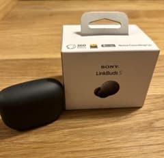 ソニーワイヤレスイヤホン　SONY WF-LS900N BLACKのサムネイル