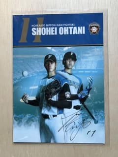 大谷翔平 北海道日本ハムファイターズ 記念クリアファイル - メルカリ