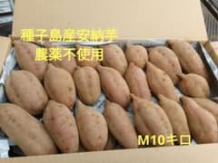 種子島産安納芋　農薬不使用　М10キロのサムネイル