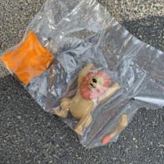 どうぶつサウナ6のサムネイル