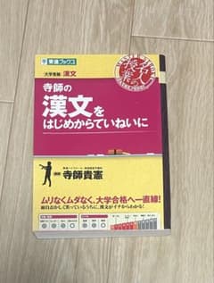 寺師の漢文をはじめからていねいに 東進ブックスのサムネイル