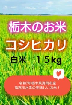 メルカリ市限定！栃木のお米・コシヒカリ♡白米15 栃木のお米・コシヒカリ♡白米15 - メルカリ