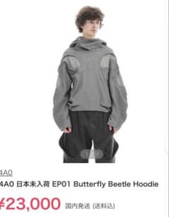 54a0 butterfly beetle foodieのサムネイル