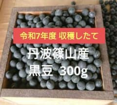 令和7年度 収穫 丹波篠山産 黒豆 300gのサムネイル