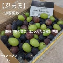 【専用】8/27-2　訳あり　忍まる　葡萄　ぶどう　果物　くだもの　にん忍葡萄園のサムネイル