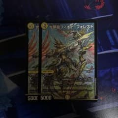 光夢龍　フィオナ・フォレスト 2枚セットのサムネイル