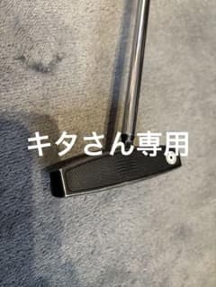 PING VAULT 2.0パターのサムネイル