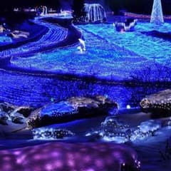体育館シューズのサムネイル