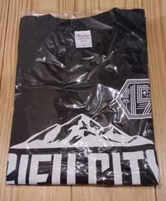FC岐阜　Tシャツ　サイズLのサムネイル