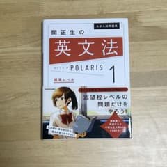 大学入試問題集 関正生の英文法ポラリス[1 標準レベル]のサムネイル