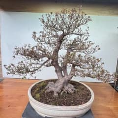 No71）古民具 三連滑車 明治19年島根県石見 | Mua sắm tại Mercari từ