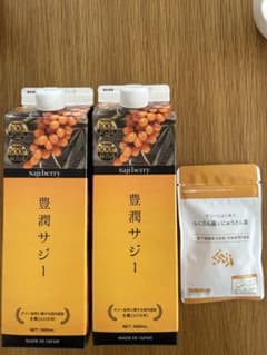 豊潤 サジー 2本のサムネイル