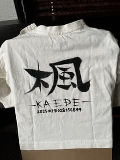 世界で一つの手書きTシャツのサムネイル