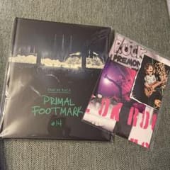 ワンオク　2025年　写真集　Primal Footmark カード無しのサムネイル