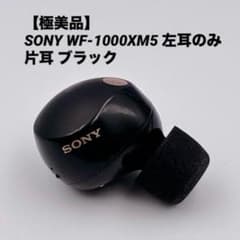極美品】SONY WF-1000XM5 左耳のみ 片耳 黒 ver6.1.0 - メルカリ
