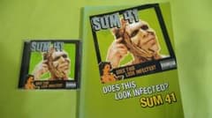SUM41 밴드 스코어