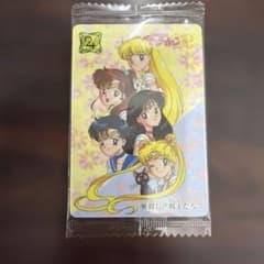 697 Vintage Bandai 1993 Sailor Moon R Carddass