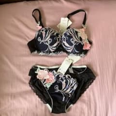 サルート ブラジャーショーツセット ワコール サルート ブラジャー ショーツ セット L - メルカリ