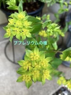 kei様 リクエスト 3点 まとめ商品 - メルカリ