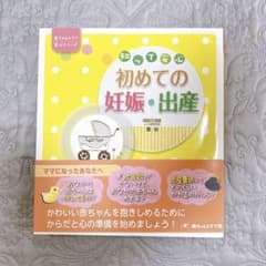 知って安心 初めての妊娠・出産のサムネイル
