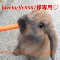 loveturtle0507様専用♡のサムネイル