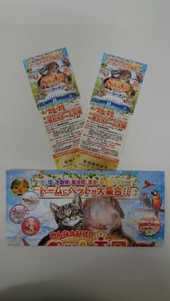 みんな大好き！！ペット王国２０２４特別招待券2枚セットのサムネイル