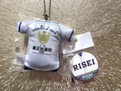 新品未開封♡高校野球選手権 履正社高校 キーホルダー 缶バッチのサムネイル