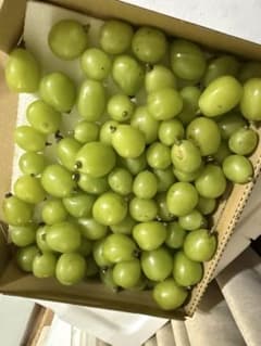 シャインマスカット　粒だけ 1kg 淡路島産のサムネイル