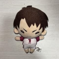 【未使用品】 ハイキュー！！ 牛島若利 にとたんぬいぐるみ まとめ売り ハイキュー 牛島若利 にとたん ぬいぐるみ - メルカリ