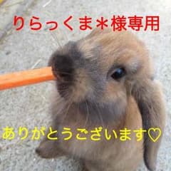 りらっくま＊様専用♡のサムネイル