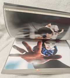 また春に会いましょうhide①限定品緑赤②写真集③パンフ④ぬい⑤Tシャツのセット また春に会いましょうhide①限定品緑赤②写真集③パンフ④ぬい⑤T