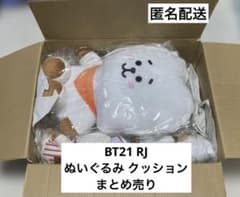BT21 RJ 아르제이 봉제 인형 쿠션 정리 판매