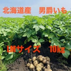 じゃがいも　北海道産　10kgのサムネイル