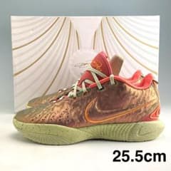 25.5cm ナイキ レブロン21 