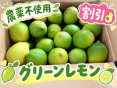 割引可‼️　無農薬　グリーン　レモン　瀬戸内産　農家直送　1.1kg箱込のサムネイル