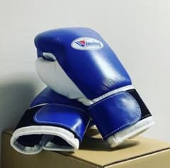 ウイニング　ボクシンググローブ　カラーオーダーのサムネイル