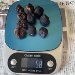 国産　山梨県産　天然黒トリュフ特大　 約126g 国産 山梨県産 天然黒トリュフ特大 約126g 食品