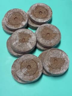 ジフィーセブン42mm 12個［使い切り、少しだけ欲しいなら］6のサムネイル