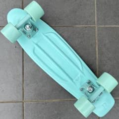 極美品【ペニー】22インチ MINT 極美品【ペニー】22インチ MINT - メルカリ