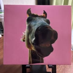 THE HIGH-LOWS Do!! The MUSTANG CDのサムネイル