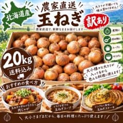 北海道産 農家直送 訳あり玉ねぎ 20kg 送料込み(箱込みの重さ)のサムネイル