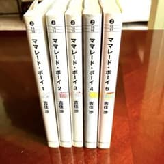 ママレード・ボーイ 文庫版 全巻 完結セットのサムネイル