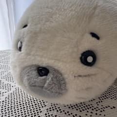 소년 아시베 참깨 봉제 인형