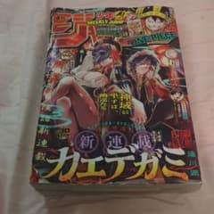 週刊少年ジャンプ2025年30号のサムネイル