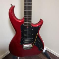 aria pro 2 RS wildcatのサムネイル