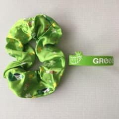 GReeeeN シュシュ ラバーバンドセットのサムネイル
