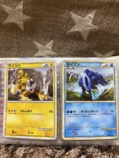 週末セール】ホウエン3犬色違いポケモンカードゲームLEGEND 3枚売り
